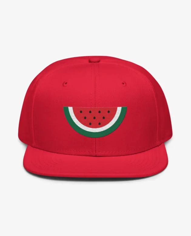 Gaza Lifeline – Classic Snapback Cap