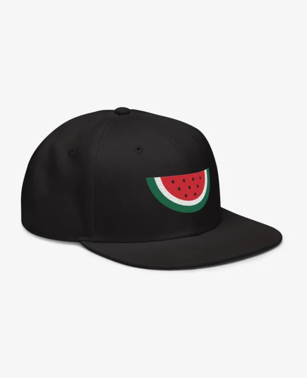 Gaza Lifeline – Classic Snapback Cap